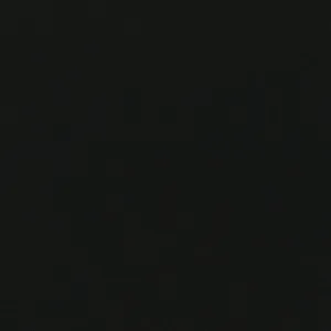 95% Organic Cotton, 5% Elastane Single Jersey - Black (2SP081)