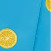 Aria Embroidered Skort - Citrus Embroidery