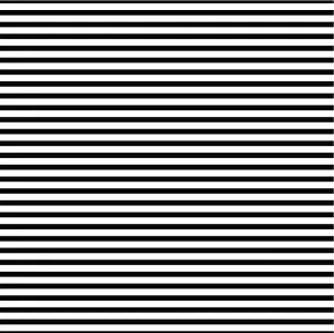 Black & White Striped Vinyl