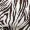 Brown Animal Print Long Sleeve Ruched Mini Dress