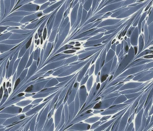 BUTTERFLY FABRIC / SURFRIDER