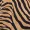 Camel Animal Print Co-ord