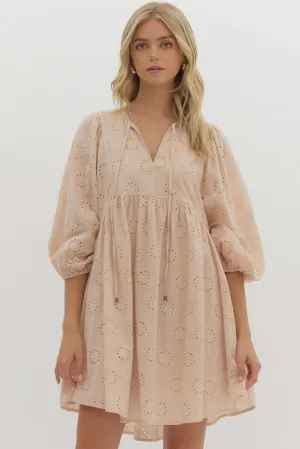 Embroidered eyelet half sleeve v-neck mini dress