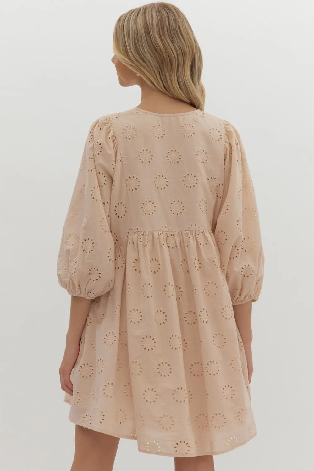 Embroidered eyelet half sleeve v-neck mini dress