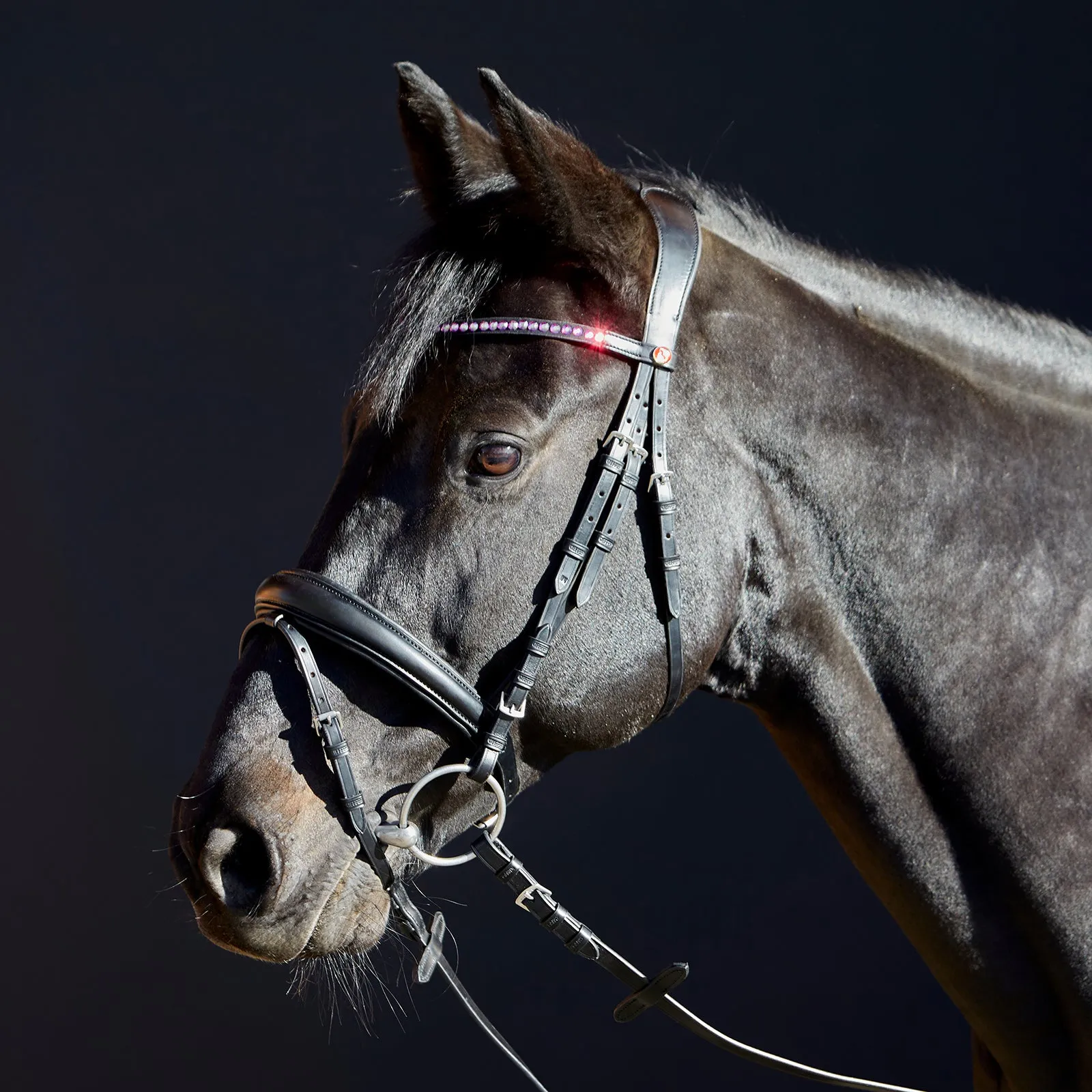 Kieffer Priya Snaffle Bridle
